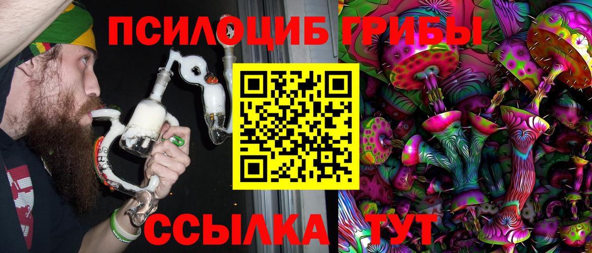 Галлюциногенные грибы прущие грибы Кизилюрт